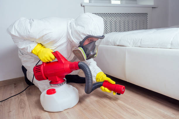 Best Fumigation Services  in Penhook, VA